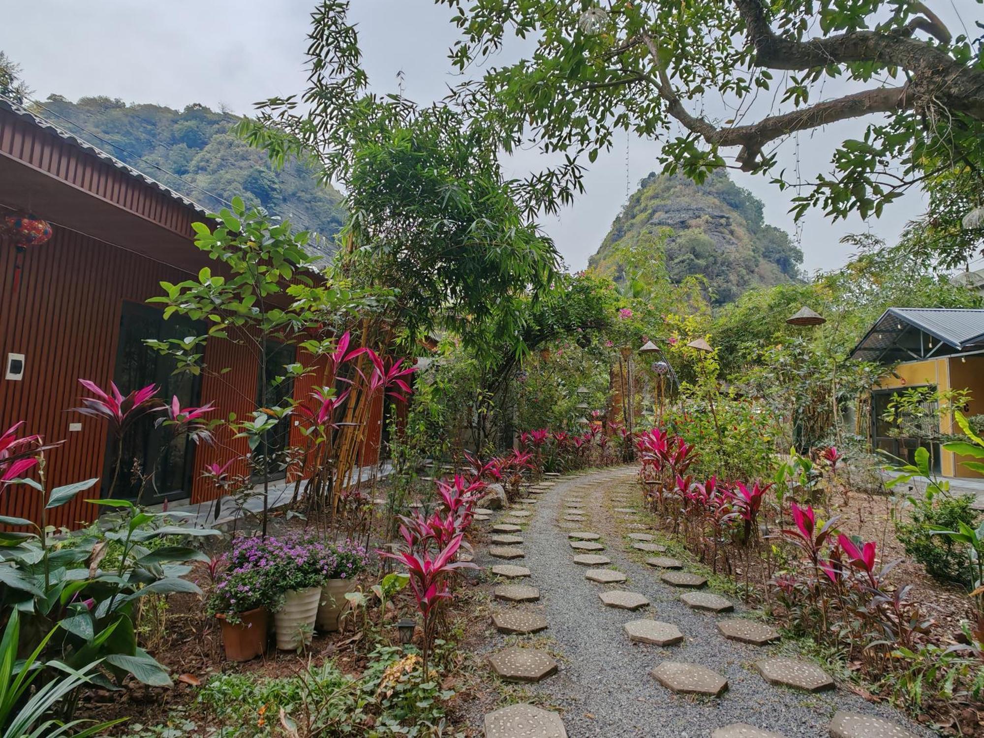 Green Valley Homestay - Thung Lung Xanh Nguyen Ngoai Dış mekan fotoğraf