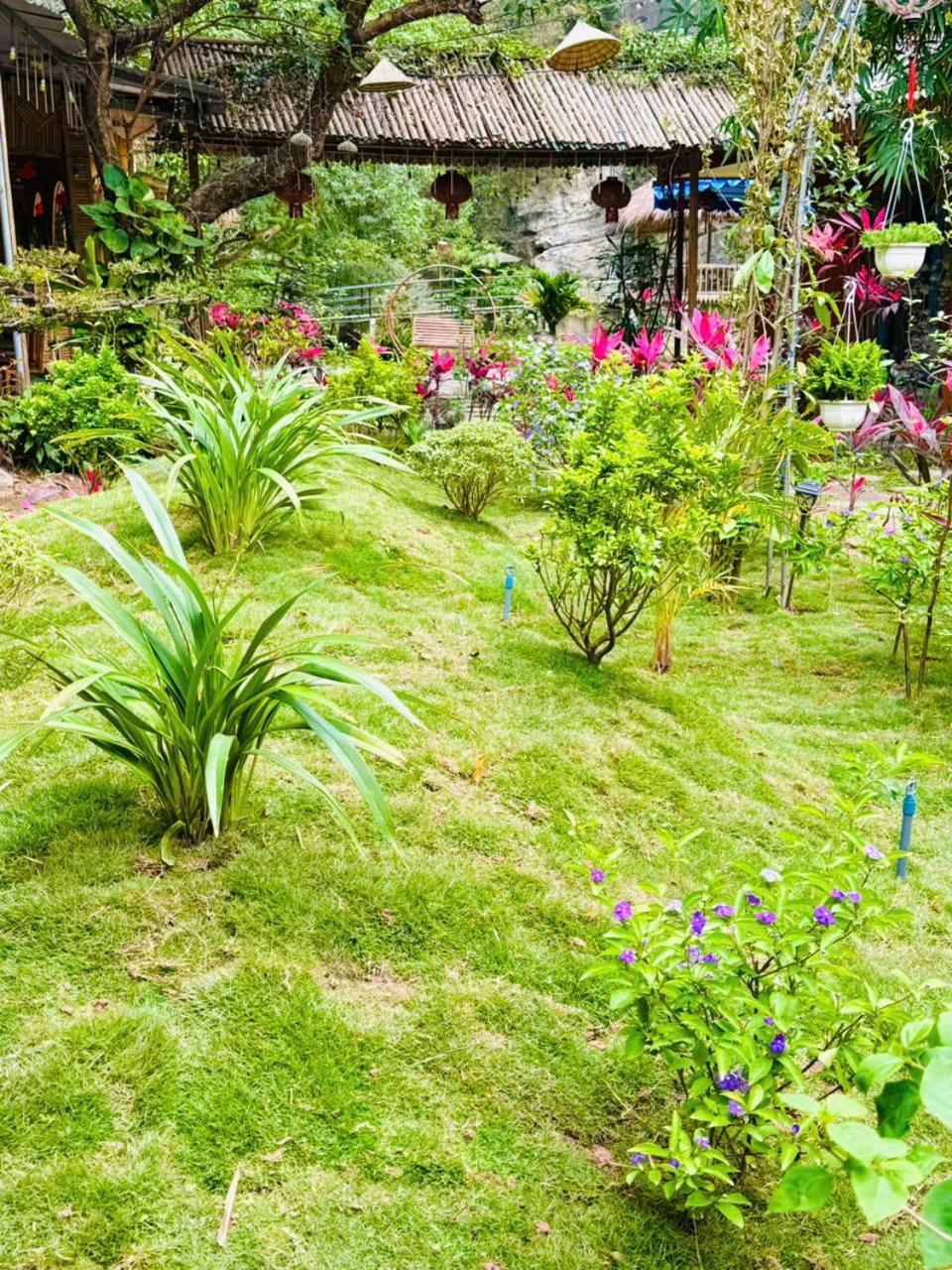 Green Valley Homestay - Thung Lung Xanh Nguyen Ngoai Dış mekan fotoğraf