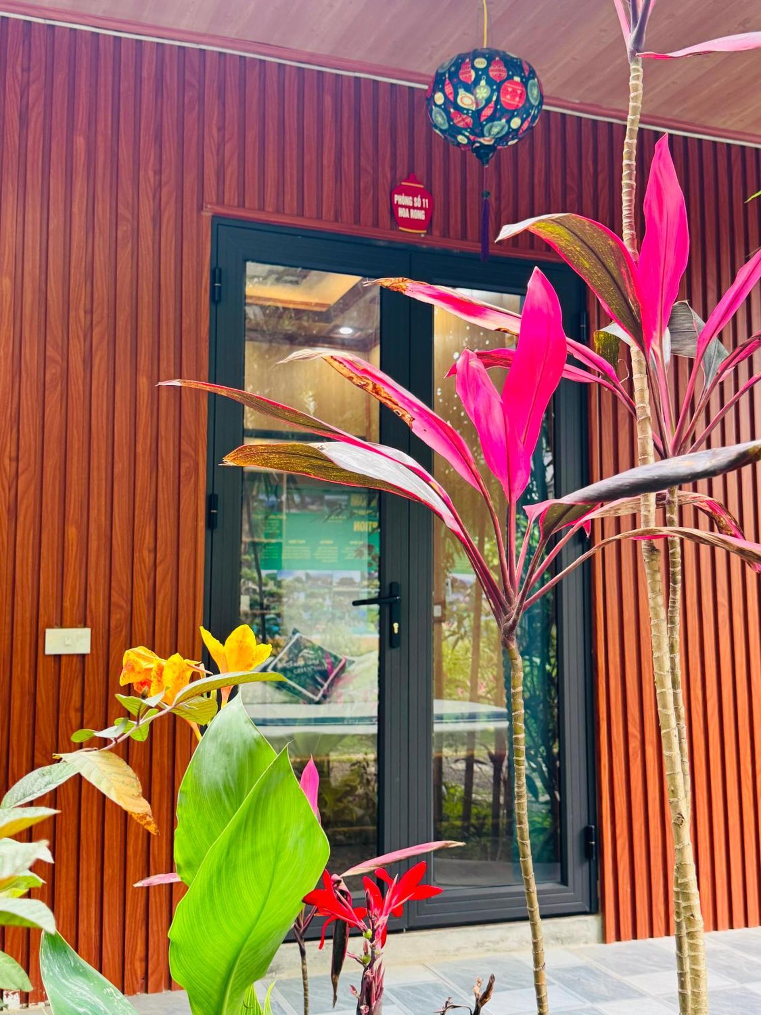 Green Valley Homestay - Thung Lung Xanh Nguyen Ngoai Dış mekan fotoğraf