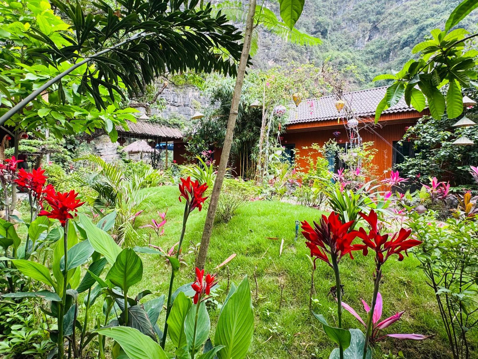 Green Valley Homestay - Thung Lung Xanh Nguyen Ngoai Dış mekan fotoğraf